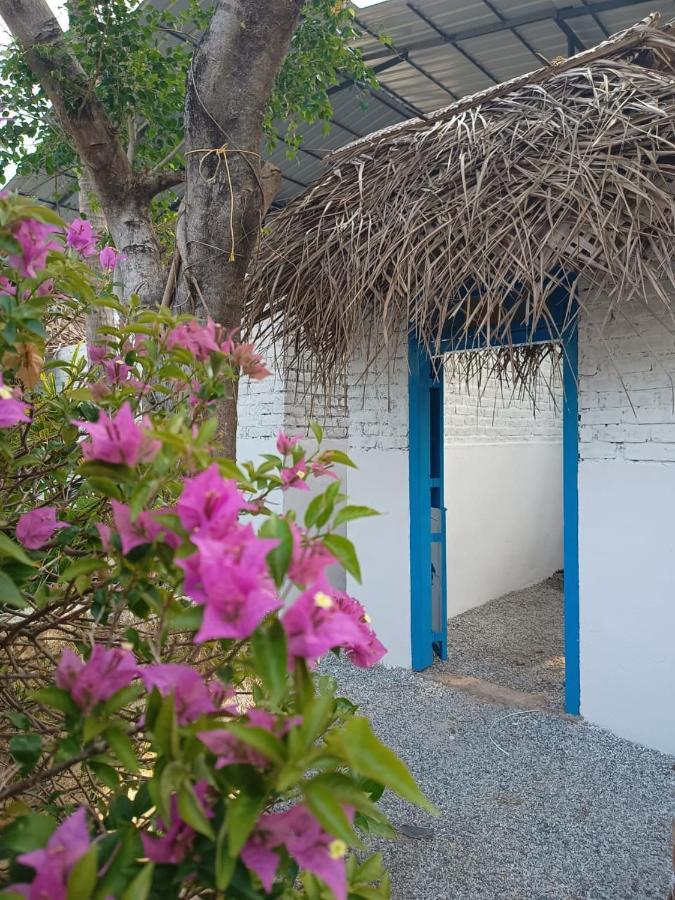 Hostel Calaila Varkala Zewnętrze zdjęcie